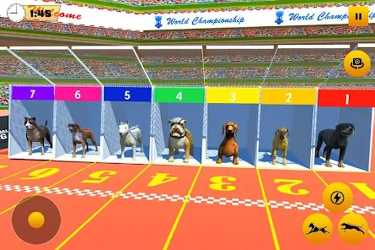 Cách Chơi Game Nhanh Đua Chó Tại 789Club Dễ Hiểu Và Hiệu Quả Cao