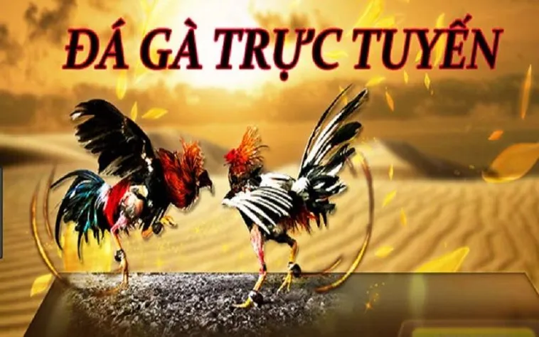 Khám Phá Thế Giới Đá Gà 789Club Với Hệ Thống Cược Thật Hấp Dẫn